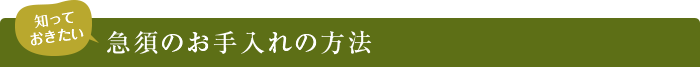 急須のお手入れの方法